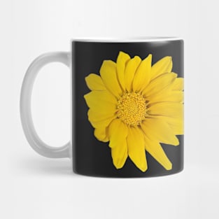 Heliopsis Hellianthoides (Smooth Oxeye) Mug